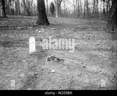 Lapide: William H. Taft ca. 1931 Foto Stock