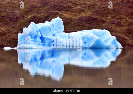 Iceberg nel Lago grigio nel Parco Nazionale di Torres del Paine nella Patagonia cilena Foto Stock