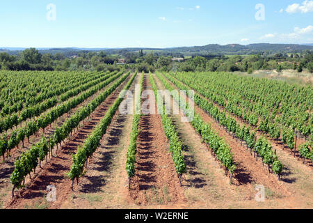 Côtes du Luberon vigneti o vigneti nella valle del Calavon Bonnieux Luberon Provence Francia Foto Stock