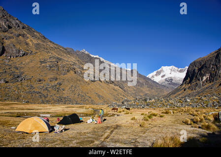 Il camp in alto Ande lungo la cordigliera Real traversa, Bolivia Foto Stock