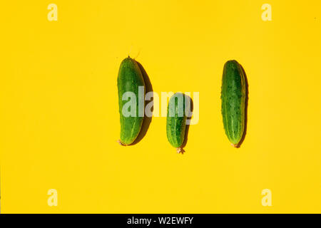 Concetto di famiglia cetrioli su sfondo giallo. Papà mamma baby. I cetrioli per i progettisti. Vista dall'alto. Raccolto di cetriolo. Sfondo di cetriolo. Agricoltura, Gard Foto Stock