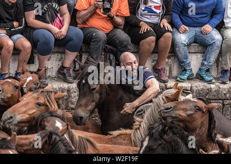 Rapa das Bestas, Sabucedo, Galizia Spagna Foto Stock