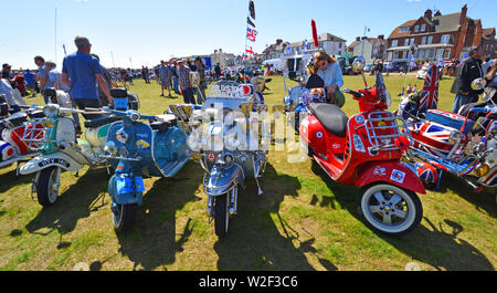 Classic Lambretta & Vespa Scooters nel Rally. Foto Stock