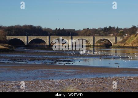 Ponte di Don. 5 granito arco ponte stradale 1830, Spanning thr Fiume Don a Donmouth. Aberdeen, Scozia, Regno Unito Foto Stock