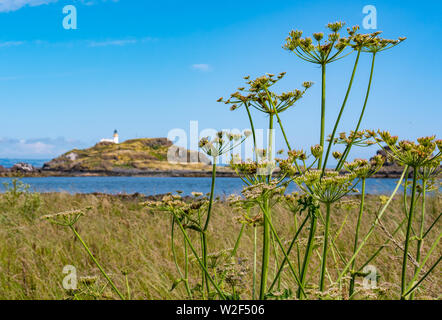 Fidra Isola e Stevenson faro in via di via su soleggiate giornate estive, visto da John Muir modo, East Lothian, Scozia, Regno Unito Foto Stock