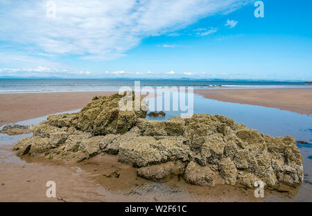 Gullane sulla spiaggia soleggiata giornata estiva con rocce coperte di cirripedi, Via di via, East Lothian, Scozia, Regno Unito Foto Stock