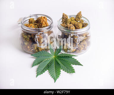 Dettaglio delle gemme di cannabis su chiari vasetti di vetro isolato su bianco - la marijuana medica del dispensario del concetto Foto Stock