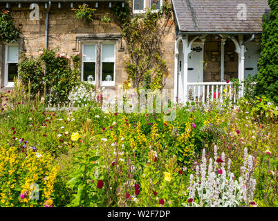 Piuttosto fiori d'estate nel giardino cottage su soleggiate giornate estive, Dirleton, East Lothian, Scozia, Regno Unito Foto Stock