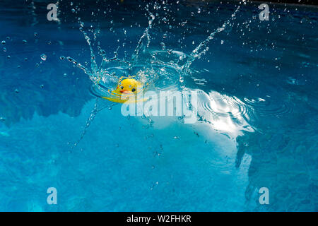 Un giocattolo giallo rubber duck immergersi in piscina creando una splash Foto Stock