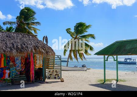 Villaggio di Pescatori di mano Juan, Isla Saona Island, Parque Nacional del Este, Repubblica Dominicana Foto Stock