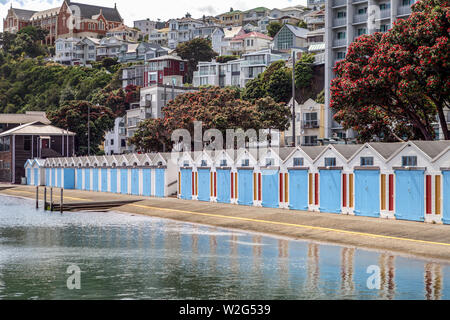 Wellington City Foreshore Foto Stock