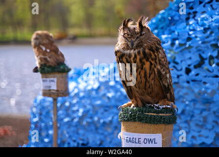 Meriden, CT, Stati Uniti d'America. Apr 2019. Daffodil Festival. Un gufo reale e altri animali selvatici vivi presentano. Foto Stock