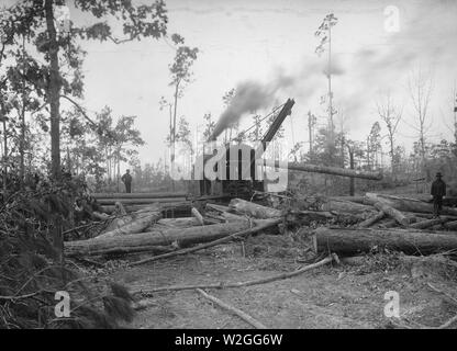 Macchinoso in Alabama, Florida, la Luisiana e Mississippi - Caricamento di registri su un log-in treno (la costruzione di case portatile per American forze Expeditionary) ca. Gennaio 1918 Foto Stock