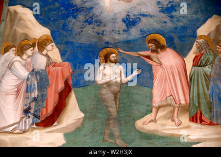 La Cappella degli Scrovegni. Affresco di Giotto, 14 ° secolo. Battista di Cristo. Padova. L'Italia. Foto Stock