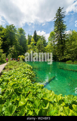 Gli escursionisti passando un bellissimo paesaggio con azure laghi colorati nascosti nella natura selvaggia del Parco Nazionale dei Laghi di Plitvice in Croazia Foto Stock