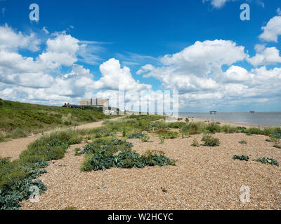 Spiaggia di ciottoli e Sizewell una stazione di alimentazione a Sizewell Suffolk in Inghilterra Foto Stock