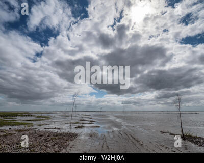 Il Wadden Sea Road per l'isola Mandoe in Danimarca Foto Stock