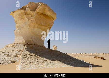 Egitto, Farafra, Nationalpark White Desert , bizzarro e unico bianco di tipo fungo chalk rocce con la forma da vento ed erosione di sabbia durante il secolo di dune di sabbia Foto Stock