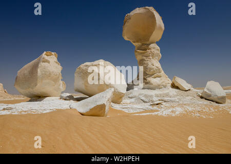 Egitto, Farafra, Nationalpark White Desert , bizzarro e unico bianco di tipo fungo chalk rocce con la forma da vento ed erosione di sabbia durante il secolo di dune di sabbia Foto Stock