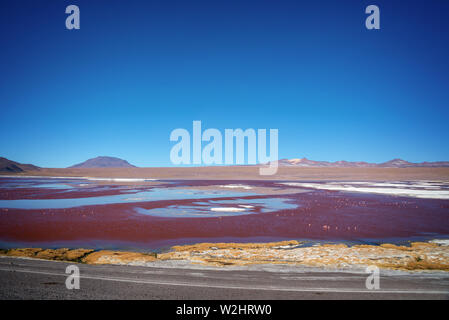 Vista della Laguna Colorada, colorato Salt Lake in Sur Lipez provincia, Potosi, Bolivia Foto Stock