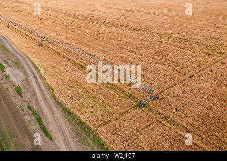 Vista aerea di sprinkler di irrigazione nel campo di grano da fuco punto di vista Foto Stock