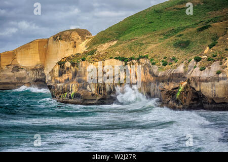 Scogliera di tunnel vicino Harington Point a Dunedin, Isola del Sud della Nuova Zelanda. Foto Stock