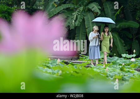 Fuzhou, la Cina della provincia del Fujian. 9 Luglio, 2019. Il turista a godere i fiori di loto presso il Parco Jinshan in Fuzhou, capitale del sud-est della Cina di provincia del Fujian, Luglio 9, 2019. Credito: Jiang Kehong/Xinhua/Alamy Live News Foto Stock