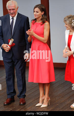 Madrid, Spagna. 09 Luglio, 2019. ***Nessuna Spagna*** Regina Letizia di Spagna partecipa all'incontro del Consiglio del Royal Board sulla disabilità e la consegna del "Regina Letizia 2018 Awards' a Corral de Comedias Theatre il 9 luglio 2019 in Almagro, Spagna. Credito: Jimmy Olsen/media/punzone punzone Media/Alamy Live News Foto Stock