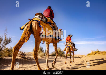 Dromedario con tourist nel deserto di Thar Foto Stock