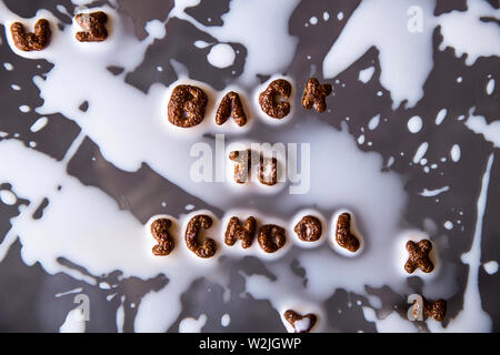 Cornflakes al cioccolato a forma di lettere dell'alfabeto inglese per una veloce colazione con latte da cui la frase è previsto il ritorno a scuola. Foto Stock