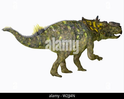 Dinosauro Pachyrhinosaurus - Pachyrhinosaurus era un Ceratopsian fatturati erbivori dinosauro che viveva in Alberta, Canada durante il Cretacico. Foto Stock