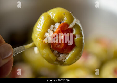 Tradizionali piatti Turchi: peperoni ripieni con olio di oliva; Foto Stock