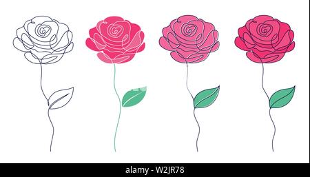 Set di diversi tipi di rose su sfondo bianco Illustrazione Vettoriale