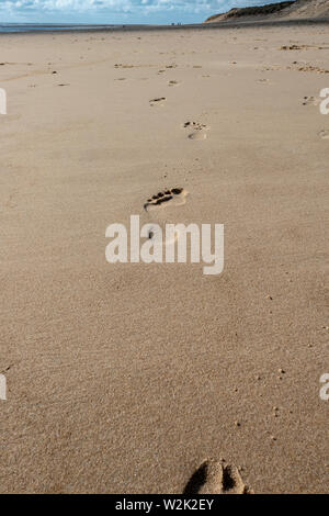 A piedi nudi tracce nella sabbia sulla spiaggia Foto Stock