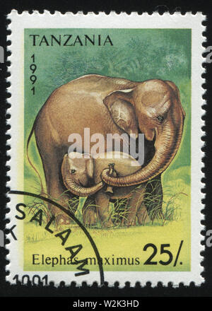 La RUSSIA KALININGRAD, 25 marzo 2019: timbro stampato dalla Tanzania mostra di elefante, circa 1991 Foto Stock