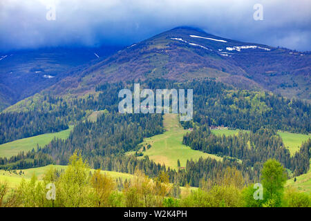 Il paesaggio delle montagne dei Carpazi i cui picchi sono avvolte nella nebbia fitta in primavera. Foto Stock