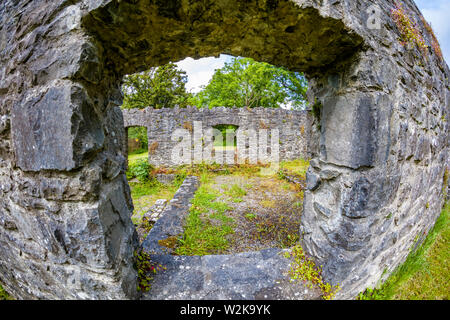 Rovine medievali vicino Thoor Ballylee Castello o torre di Yeats in città se Gort County Galway Irlanda Foto Stock