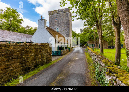 Thoor Ballylee Castello o Yeats torre costruita quindicesimo o sedicesimo secolo vissuto dal poeta William Butler Yeats in città se Gort County Galway Irlanda Foto Stock