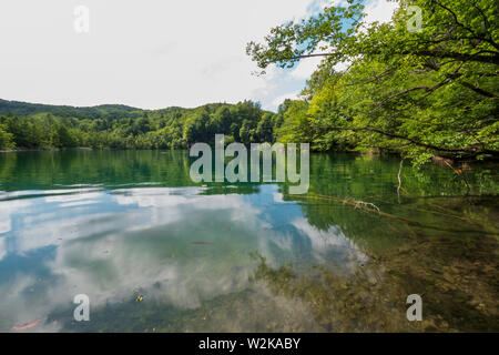 Colore azzurro lago con cascate di pura acqua fresca precipitando nel lago in background - Parco Nazionale dei Laghi di Plitvice, Croazia Foto Stock