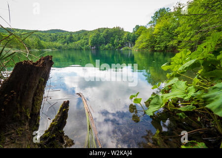 Colore azzurro lago con cascate di pura acqua fresca precipitando nel lago in background - Parco Nazionale dei Laghi di Plitvice, Croazia Foto Stock