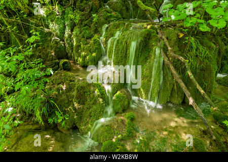 Piccole cascate di acqua fresca correre verso il basso mossy rocce presso il Parco Nazionale dei Laghi di Plitvice in Croazia Foto Stock