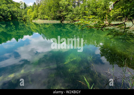Azzurro lago colorato con reed che crescono lungo la riva nel profondo della foresta densa del Parco Nazionale dei Laghi di Plitvice in Croazia Foto Stock