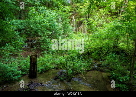 Piccolo ruscello che scorre attraverso il deserto incontaminato nel profondo della foresta densa presso il Parco Nazionale dei Laghi di Plitvice in Croazia Foto Stock