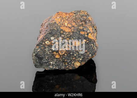 Chondrite carbonioso Meteorite (CV3) formata mediante accrescimento di polvere, grani piccoli e calcio-alluminio-righ inclusioni (CAIS) all'inizio del Sistema Solare Foto Stock