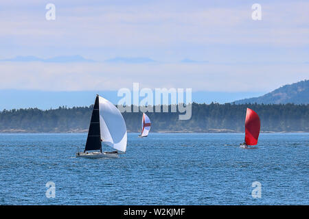 Barche a vela approfittando di una bella giornata nelle acque di San Juan Islands nello stato di Washington. Foto Stock