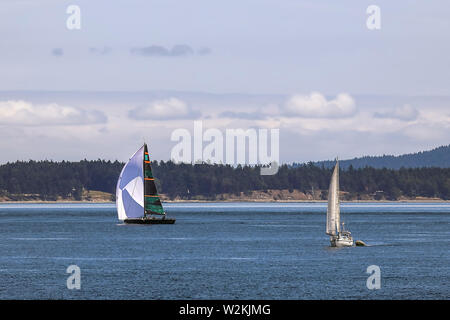 Barche a vela approfittando di una bella giornata nelle acque di San Juan Islands nello stato di Washington. Foto Stock