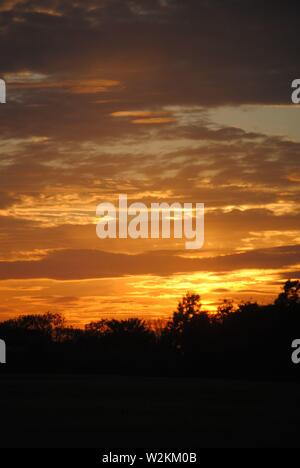 tramonto sequenza oro bagliore con un sacco di nuvole con silhouette di alberi Foto Stock