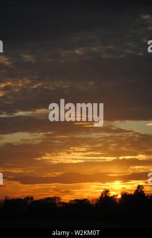 tramonto sequenza oro bagliore con un sacco di nuvole con silhouette di alberi Foto Stock