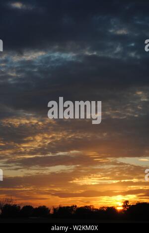 tramonto sequenza oro bagliore con un sacco di nuvole con silhouette di alberi Foto Stock