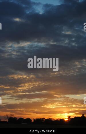tramonto sequenza oro bagliore con un sacco di nuvole con silhouette di alberi Foto Stock